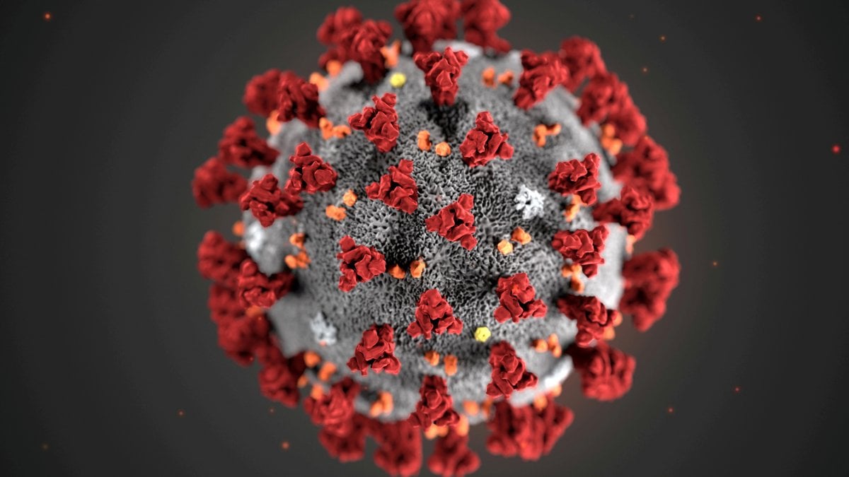 CORONAVIRUS: PUÒ ESSERE ANCHE QUESTO…